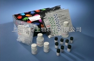 人環磷酸鳥苷(cGMP)ELISA試劑盒 詳細指導與可靠售后